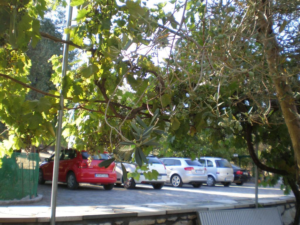 Vasiliki Studios Петра Экстерьер фото