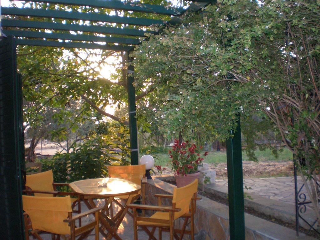 Vasiliki Studios Петра Номер фото