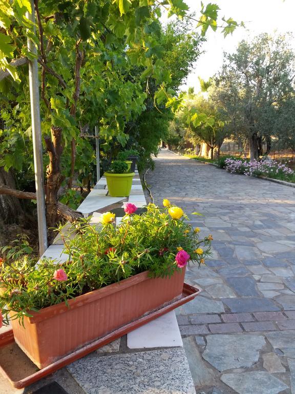 Vasiliki Studios Петра Экстерьер фото